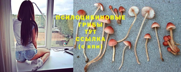 MDMA Premium VHQ Верхний Тагил