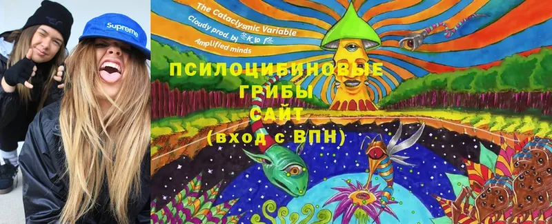 Псилоцибиновые грибы GOLDEN TEACHER  где можно купить наркотик  Курлово 